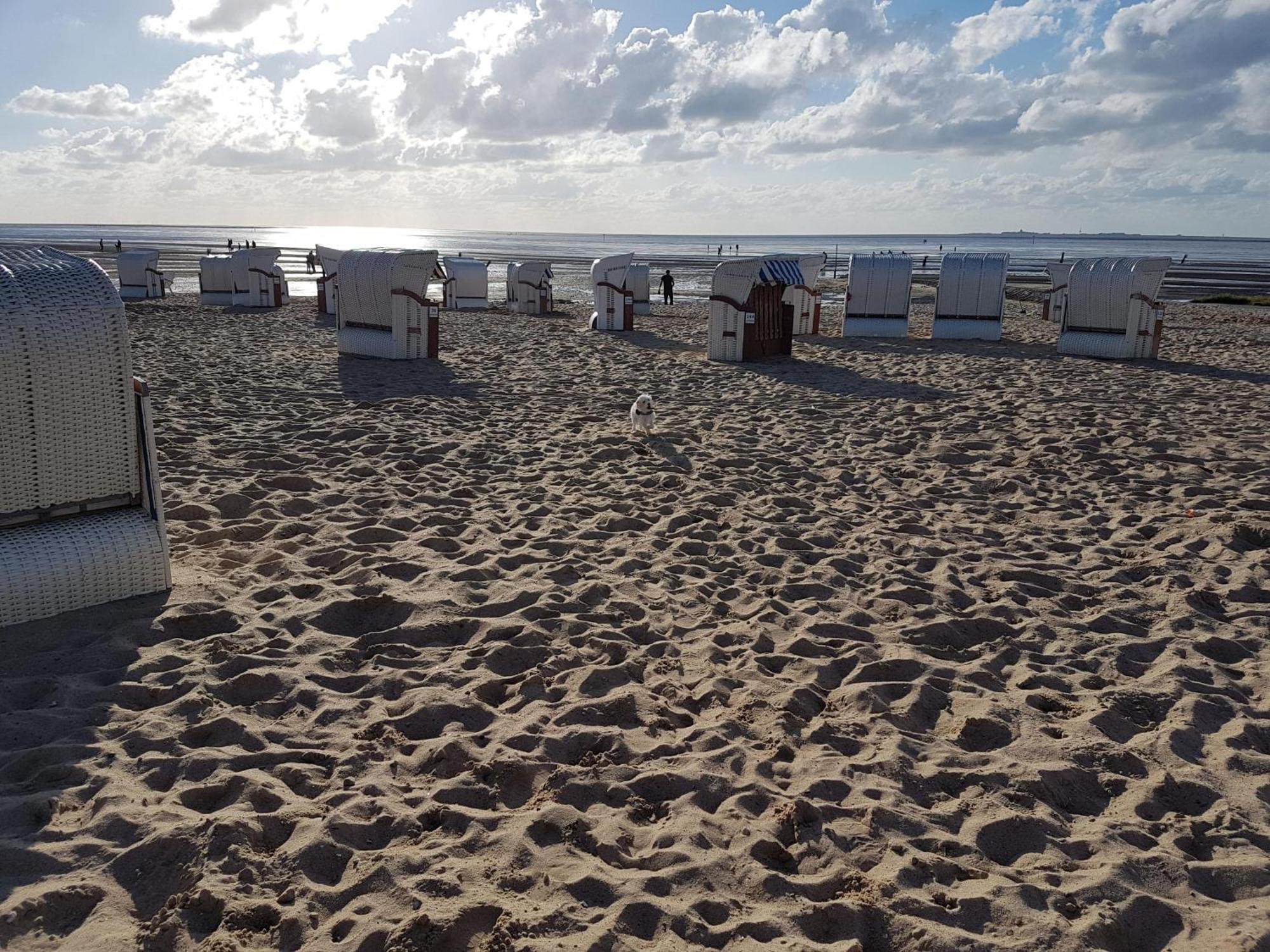 דירות קושהאבן Watt & Wind - Tolles Schwimmbad מראה חיצוני תמונה